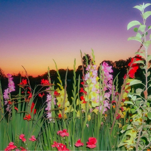 // ✨💫🌟 - Picture 2 of 2